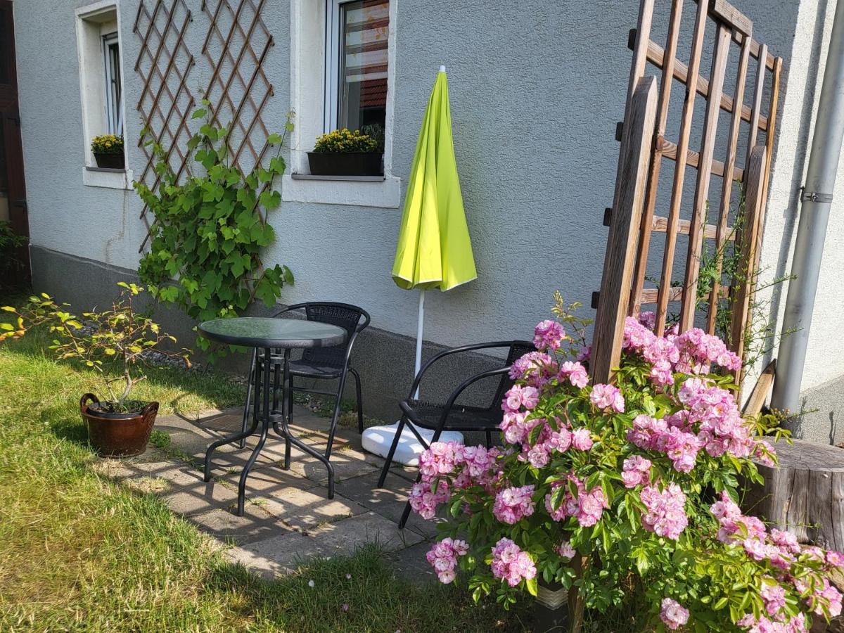 Ferienwohnung Simmert Kurort Gohrisch Exterior photo